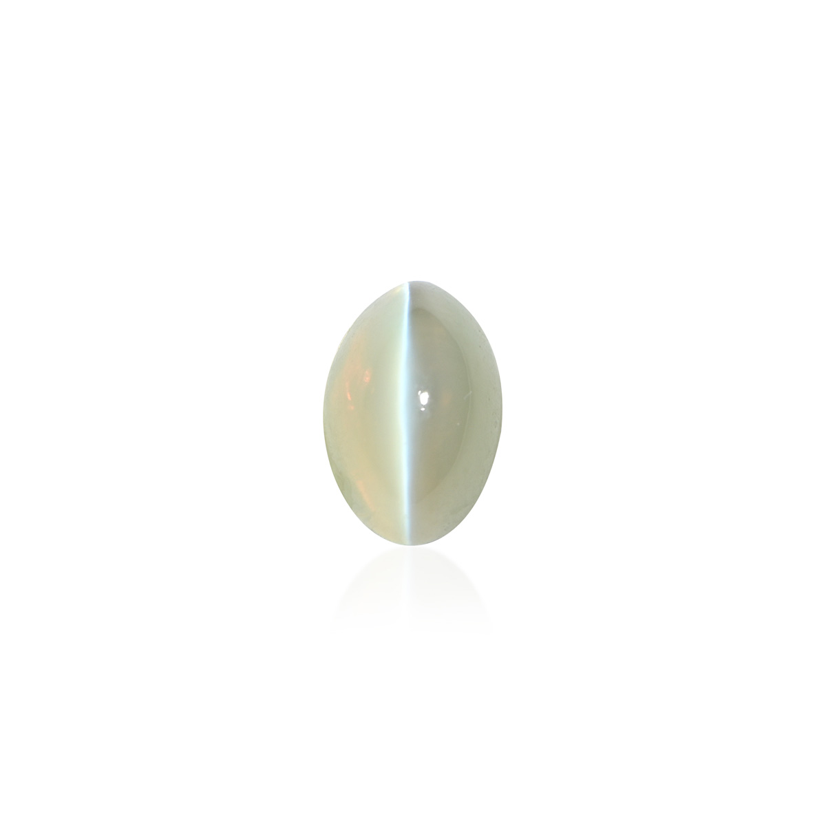 NGDXB23- - N Gopaldaas Jewellers